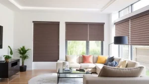 Estores de Claraboia